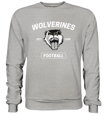 Wolverines Sweater IV