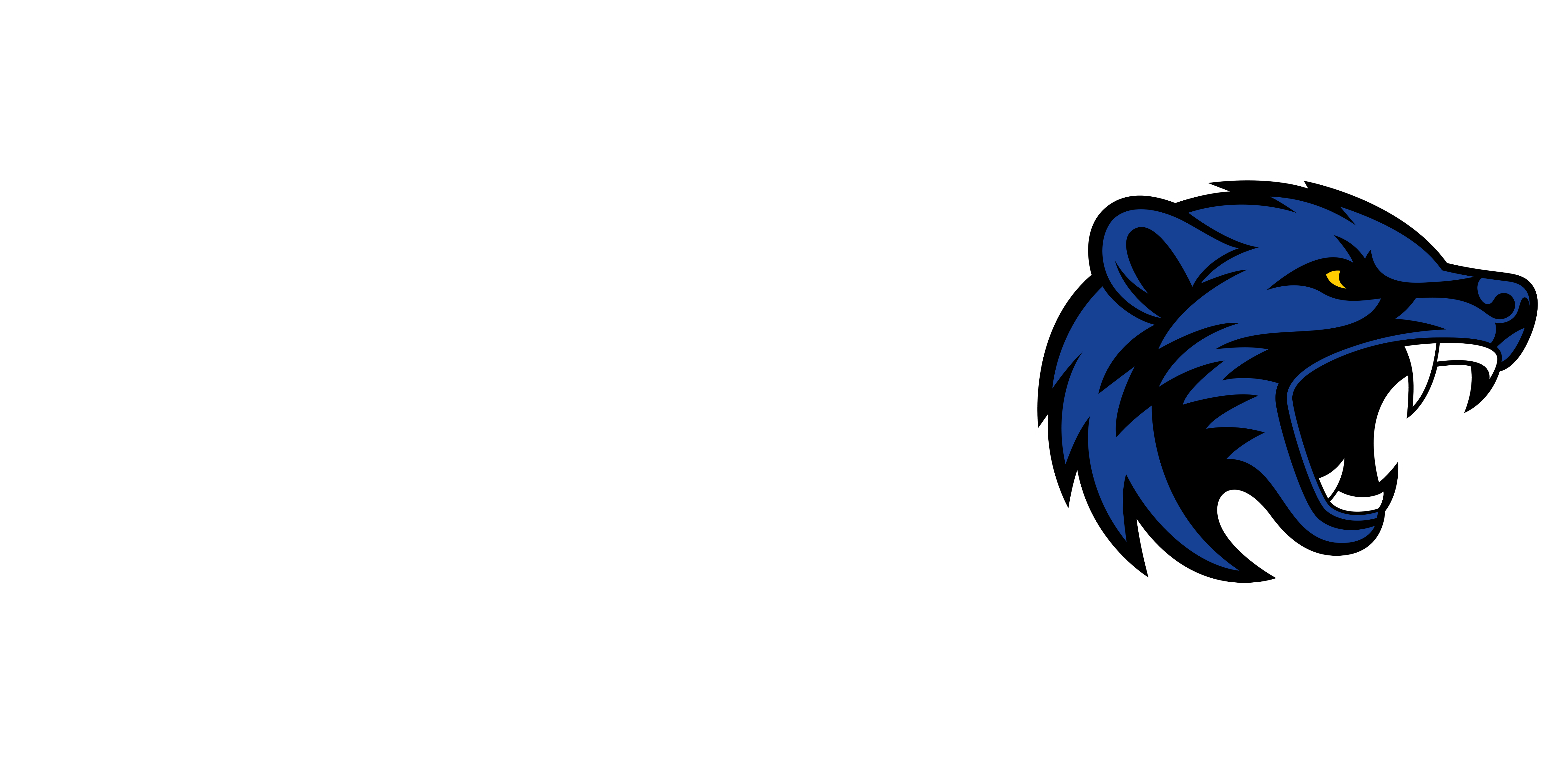 ALL41 Sportswear - Backnang Wolverines